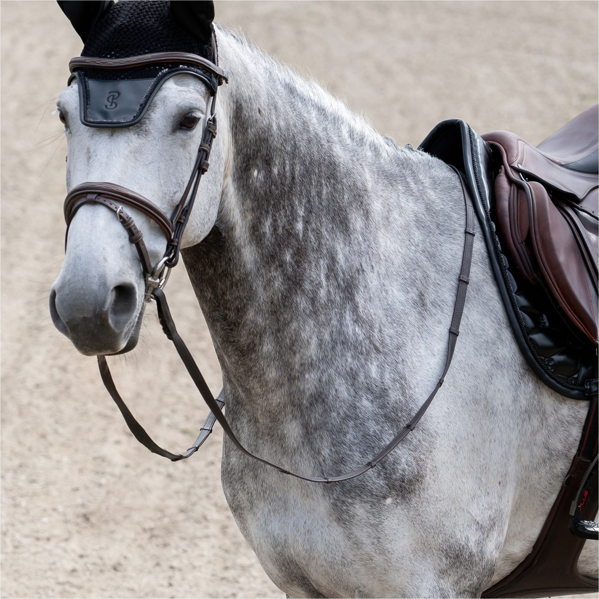 PS Of Sweden Dazzling Metallic Jump Saddle Pad 1110 - 111 - 998 - 002 - Lacquered Black